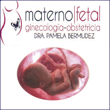 Logo de DRA. PAMELA BERMUDEZ